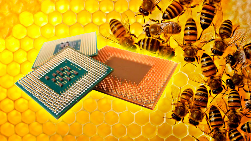 honey-based-memristor-developed-for-neuromorphic-computers | دانشمندان روشی برای ساخت پردازنده از عسل ابداع کردند!