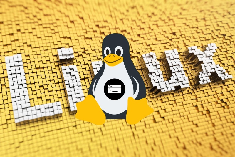 430215-linux-update-adds-support-for-128-terabyte-sd-cards | پشتیبانی از کارت‌های ۱۲۸ ترابایتی SD به لینوکس اضافه شد