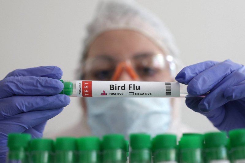 431540-us-first-severe-illness-human-case-bird-flu | تایید اولین مورد ابتلای شدید انسان به آنفلوانزای پرندگان در آمریکا