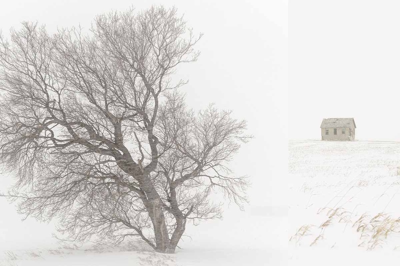 431919-frozen-prairie-lands-minus-30-degrees | سرمای استخوان‌سوز: زندگی در منفی ۳۰ درجه چگونه می‌گذرد؟