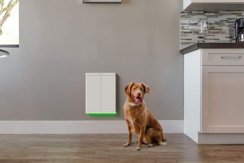 432448-pawport-smart-dog-door-rbg-lighting-price-ces2025 | «پاپورت» رونمایی شد؛ در هوشمند با نورپردازی RGB برای سگ‌های خانگی