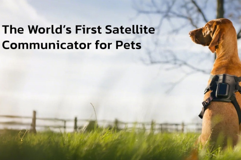 432675-satellai-a-satellite-pet-tracker-at-ces2025 | گجت SATELLAI معرفی شد؛ ردیاب ماهواره‌ای برای حیوانات خانگی