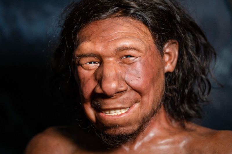 432715-neanderthals-inherited-gene-teeth | میراث ژنی نئاندرتال‌ها، شکل دندان‌های ما را تعیین کرده است