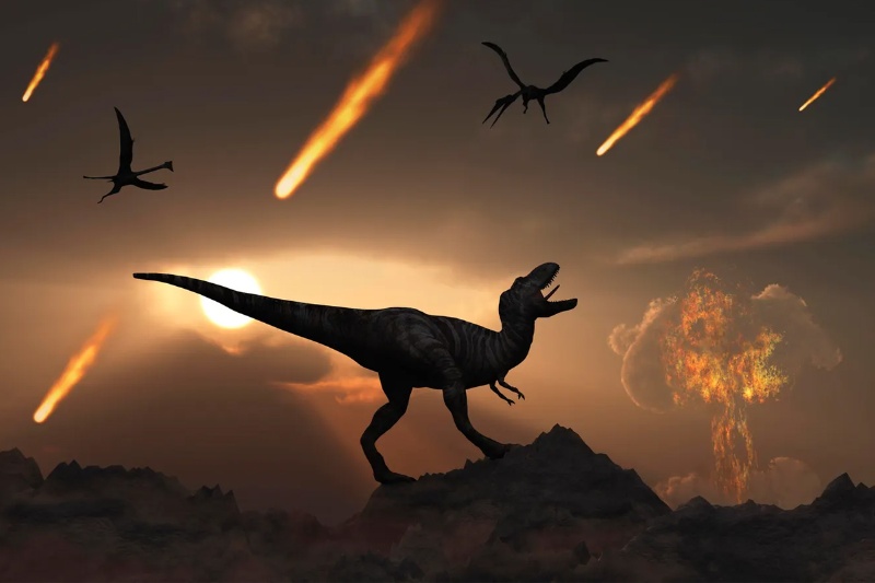 435938-why-dinosaurs-evolution-again | چرا دایناسورها پس از انقراض دوباره تکامل پیدا نکردند؟