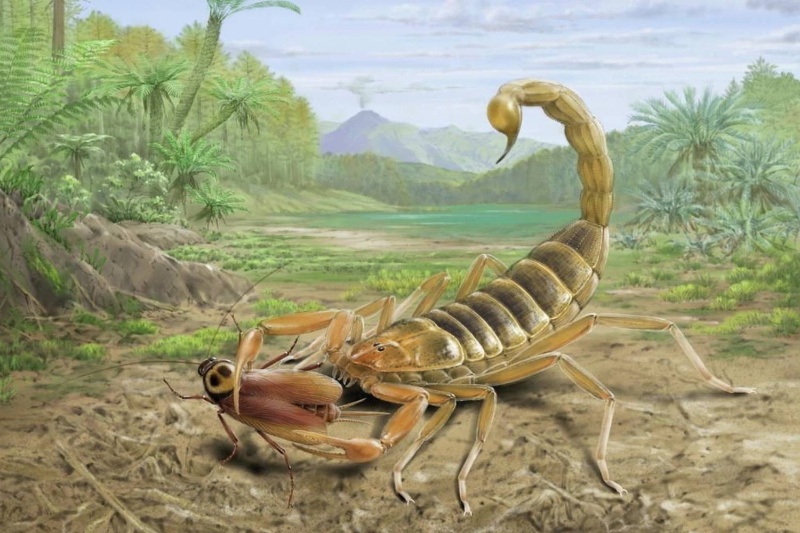 436159-fossil-scorpion-lived-alongside-dinosaurs-china | کشف فسیل ۱۲۵ میلیون ساله عقرب غول‌پیکری که در کنار دایناسورها زندگی می‌کرد